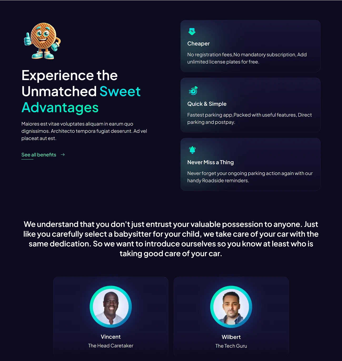 lekkerparkeren project image 2